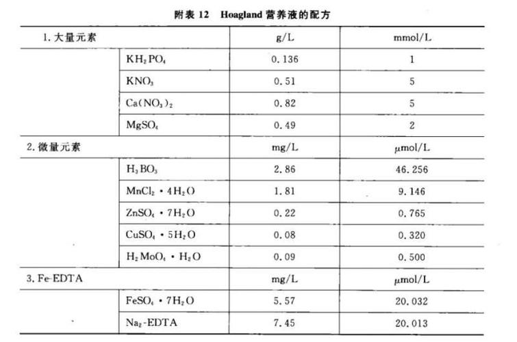 995营养液怎么吃（营养液怎么服用）