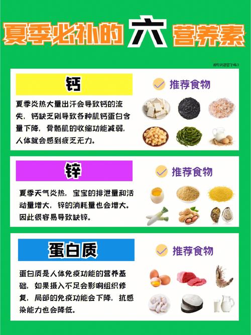 夏季补充营养（夏季补充营养素）