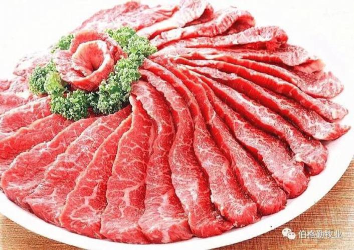 牛肉筋的营养价值（牛肉筋的营养价值高吗）