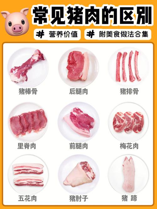 猪廋肉的营养（猪肉的营养含量）