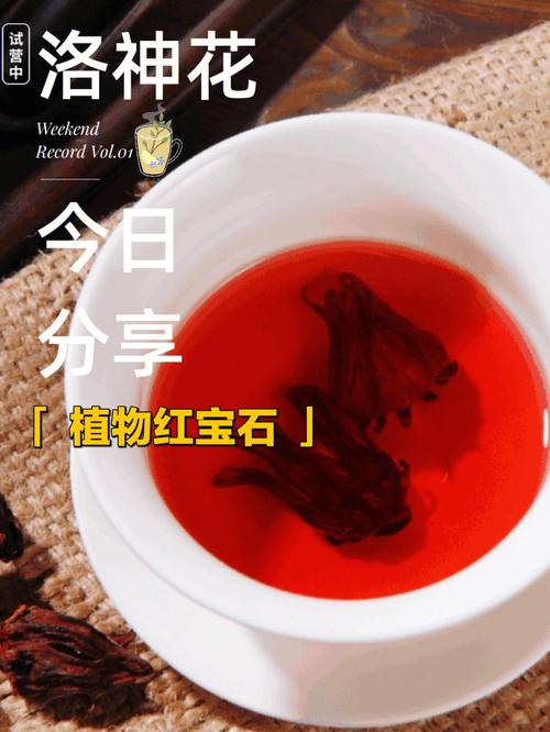 玫瑰茄的营养成份（玫瑰茄的食用价值）