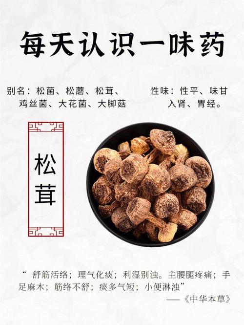 鸡丝菌的营养（鸡丝菌的营养成分表）