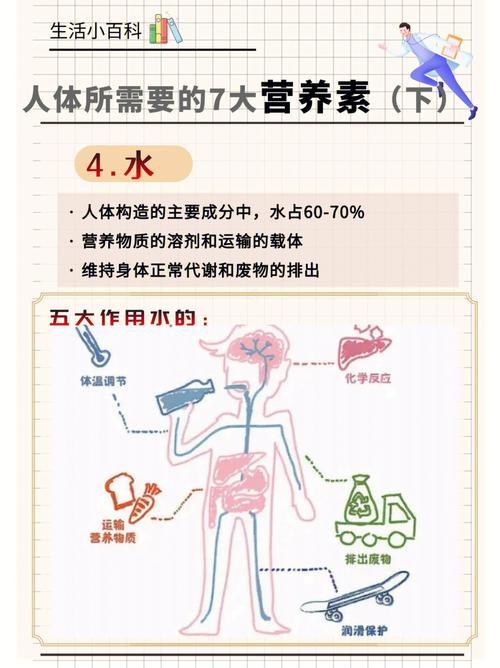 身体活动机能压缩营养（身体活动机能压缩营养物质吗）