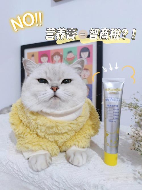 猫咪怀孕能吃营养膏么（猫咪怀孕期间可以吃营养膏吗）