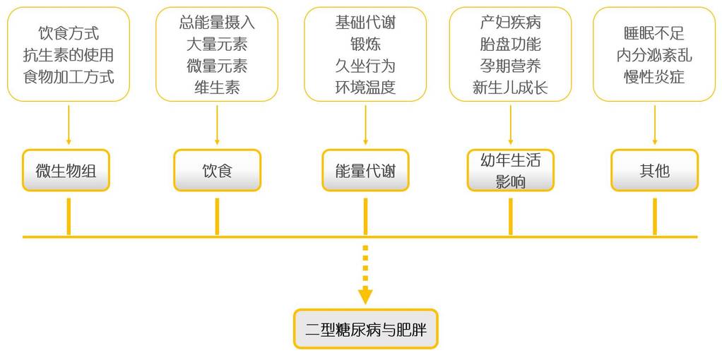 慢病与营养监测（慢病与营养监测和危险因素的区别在于）