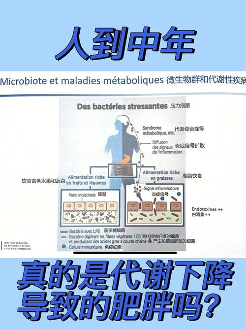 2019欧洲营养指南（欧洲临床营养学）