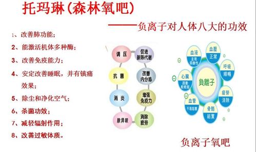 营养跟气血有关吗（营养和血液的关系）