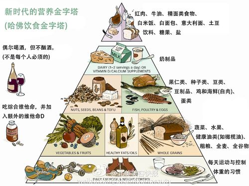 最新每日营养金字塔（每日食物营养金字塔）