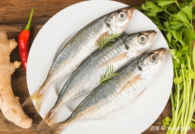 夏季吃什么鱼有营养（夏天吃什么鱼好窍门）