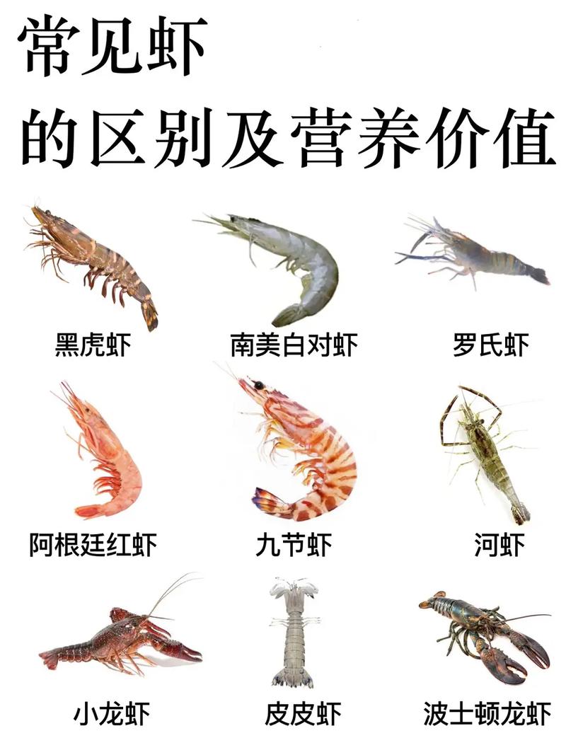 港虾营养（虾营养好不好）