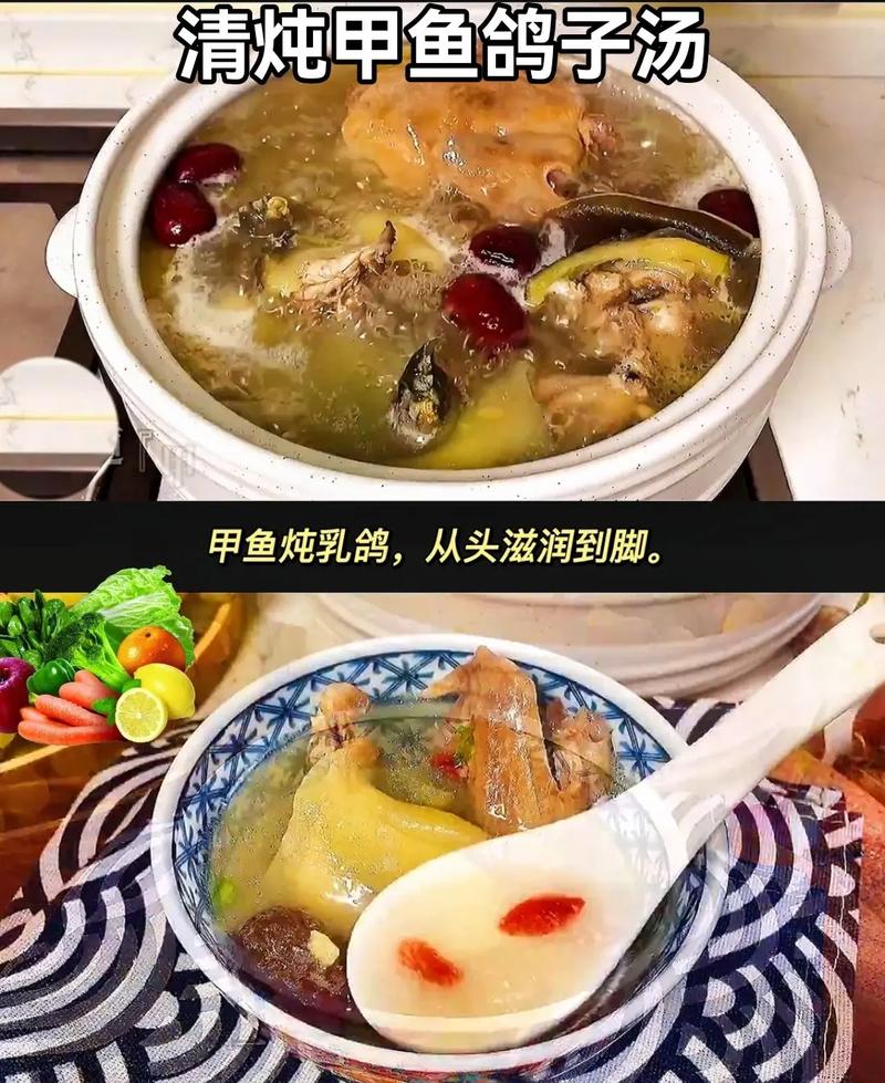 甲鱼和鸽子哪个有营养（甲鱼和鸽子功效和作用）