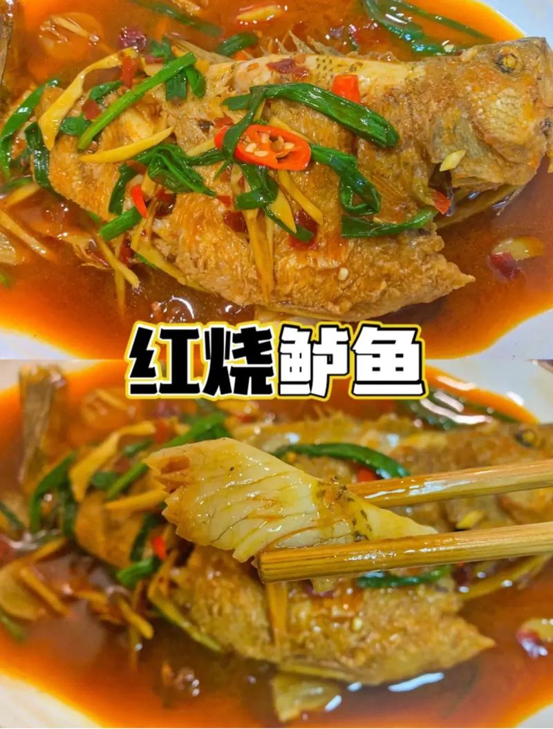 沙鲈鱼营养（沙司鲈鱼）