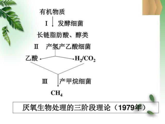 产甲烷菌的营养（甲烷菌的作用及生活环境）