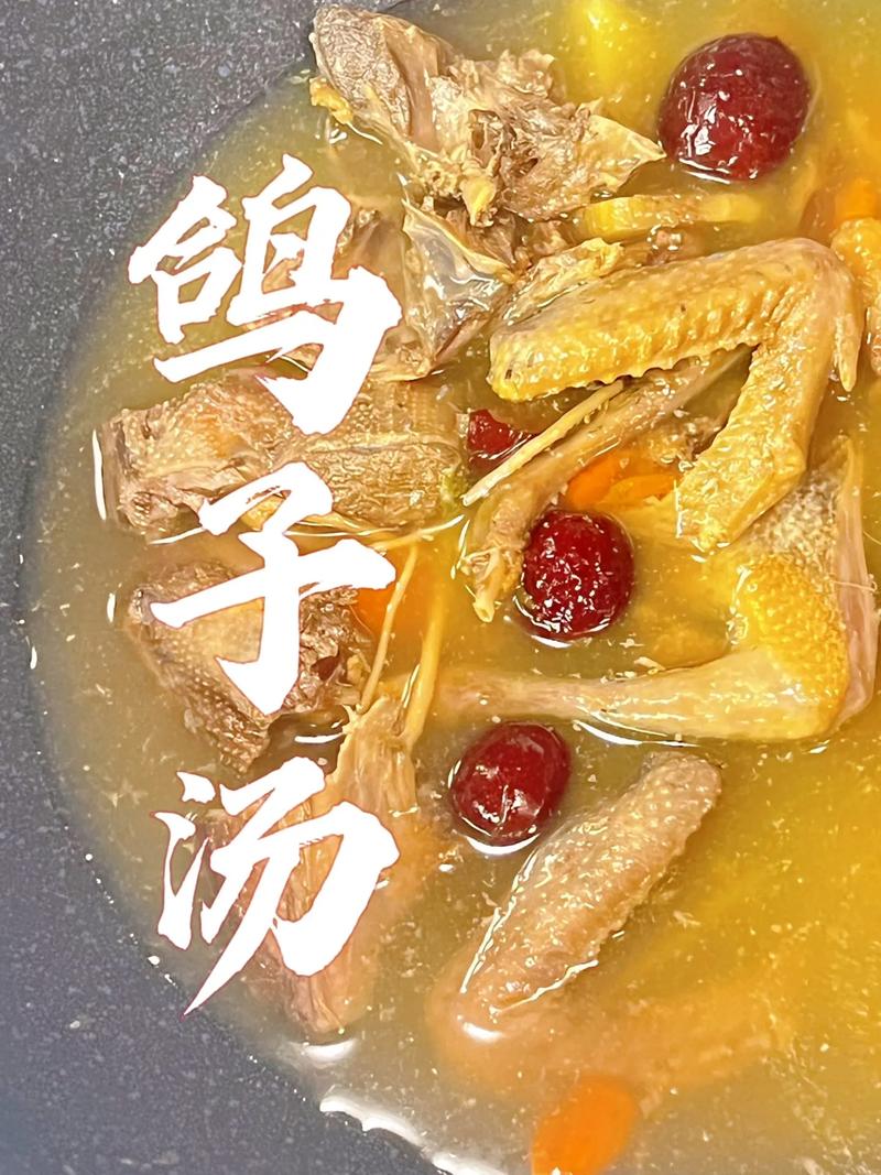 鸽子如何补充营养（给鸽子补营养吃点什么好）