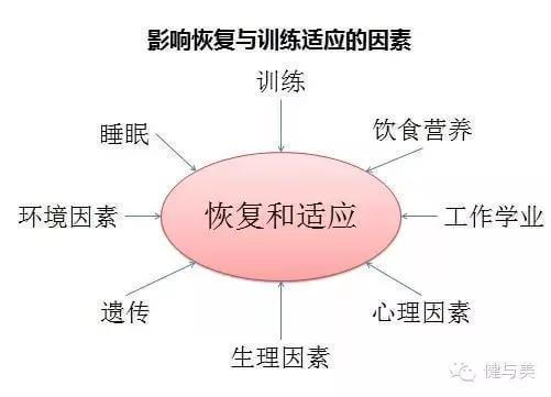 疲劳恢复的营养原则（疲劳的恢复手段有哪些）