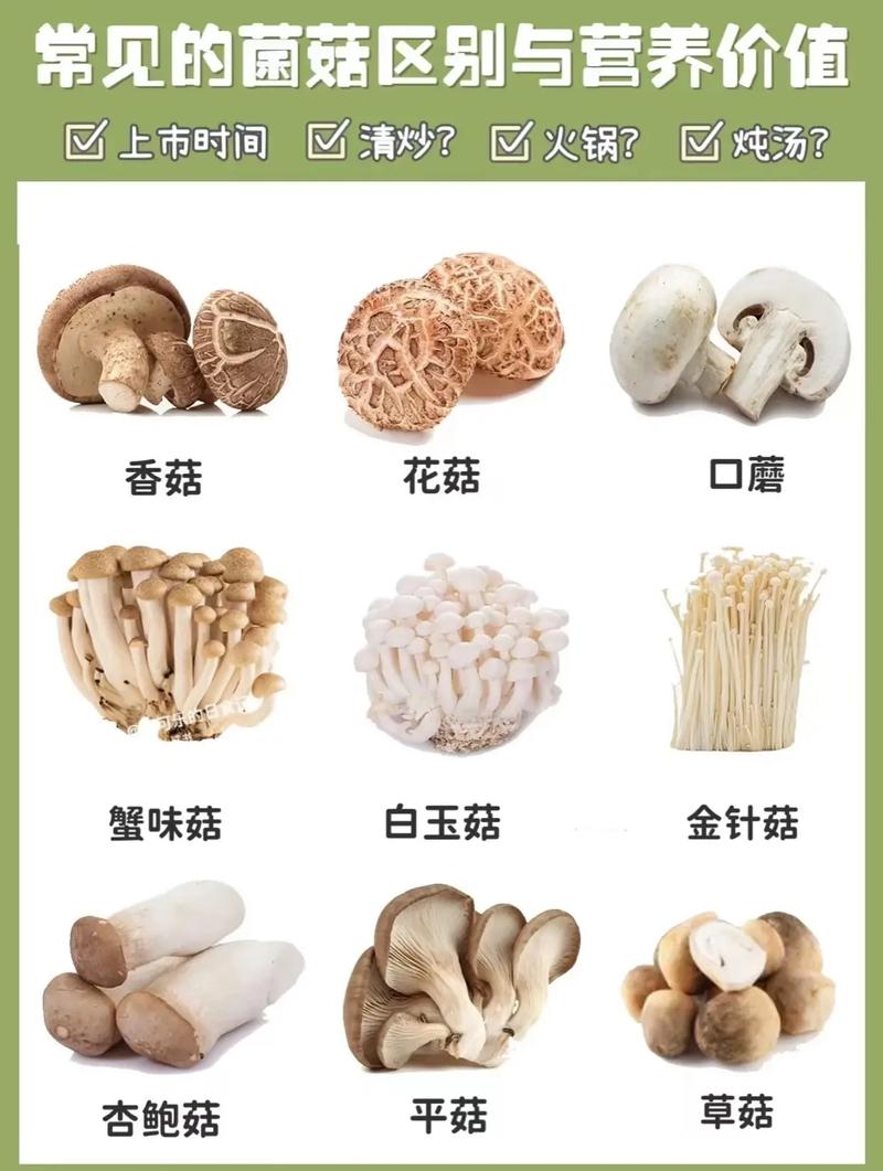 哪个菇类最营养（哪种菇类好吃）