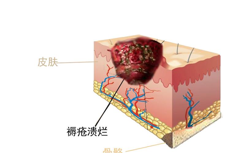 中国之病根与营养（中国的病根在哪里）