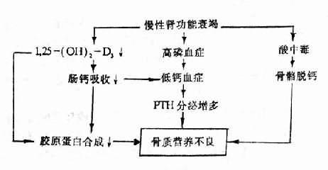 营养不良会不会伤肾（营养不良会影响肾功能吗）