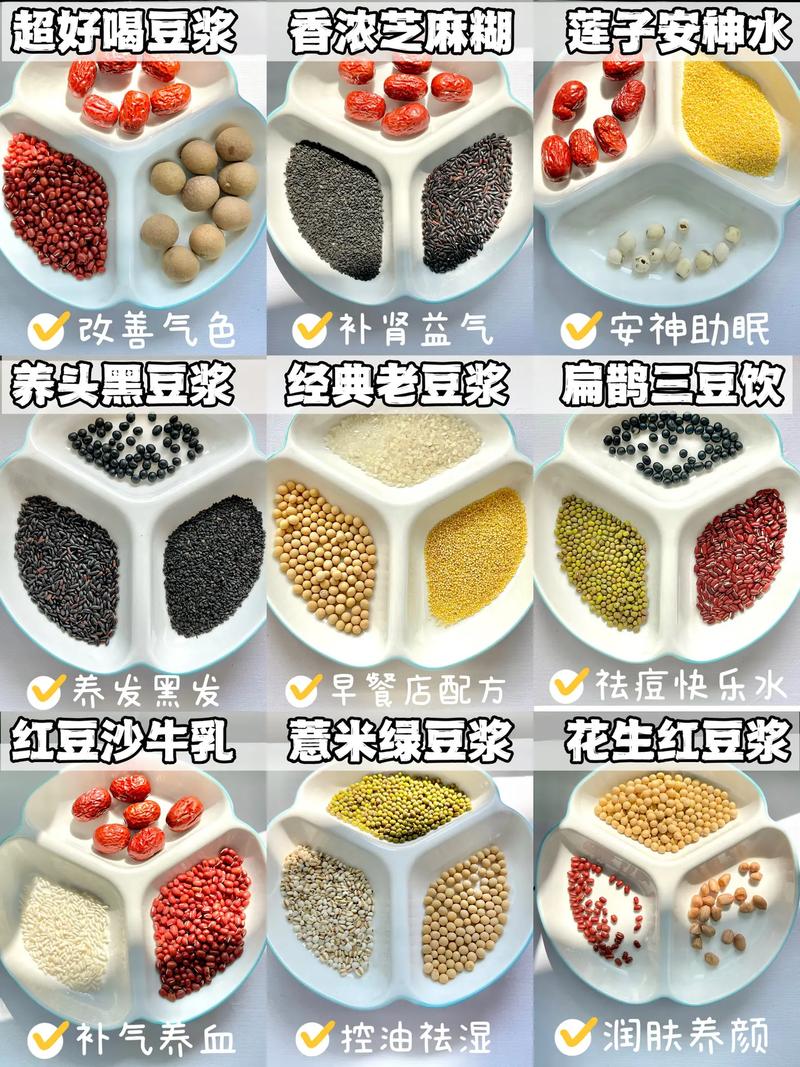 豆浆那种有营养（喝豆浆什么豆最营养）