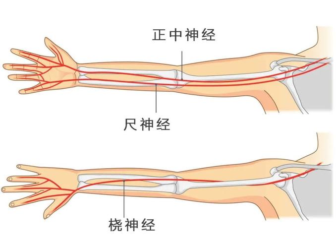 手臂营养神经治疗（手臂营养神经治疗方法）