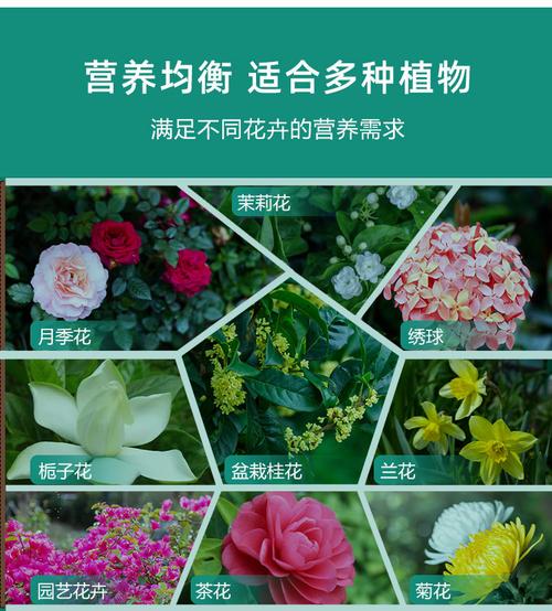 如何给花增加营养（如何给花补充营养）