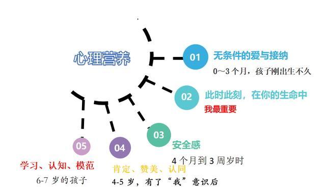 幼儿心理营养的概念（幼儿心理营养的概念是什么）