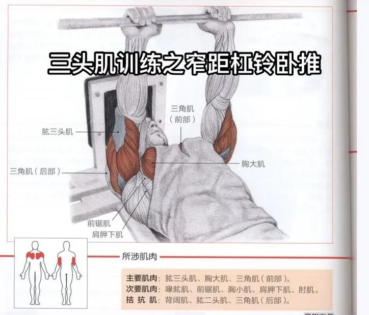 练肌肉需要营养吗（练肌肉需要减肥吗）