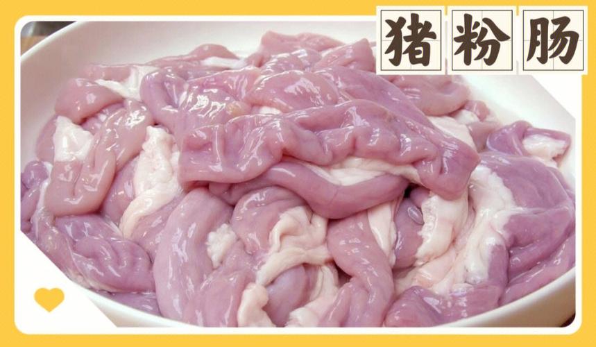 肉粉肠营养价值（肉粉肠的做法大全）