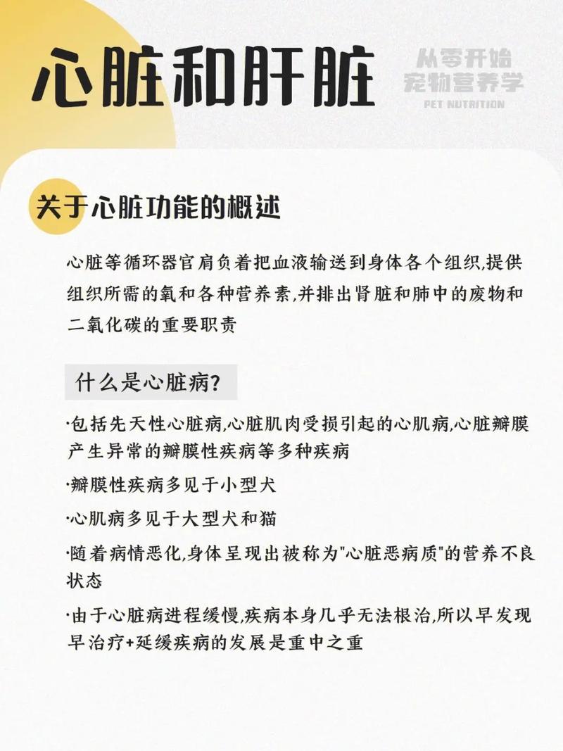 怎样加强心脏营养（怎么可以加强心脏功能）