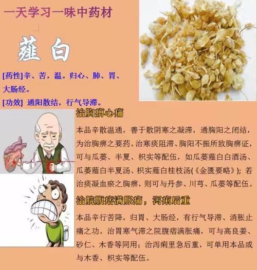 薤白的营养功效（薤白的营养功效作用）