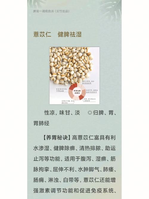 薏苡仁山楂营养颗粒（薏仁山楂水的功效）