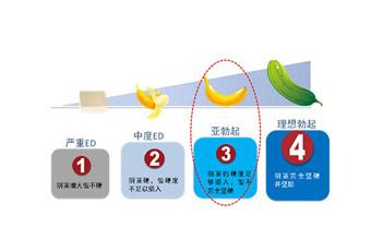 包含控制勃起时间的营养的词条