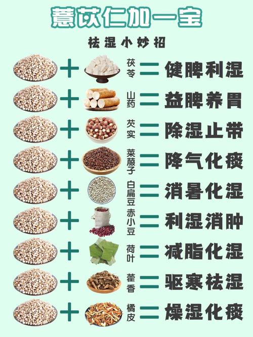 红豆薏苡仁营养粉（红豆薏米营养粉的功效）