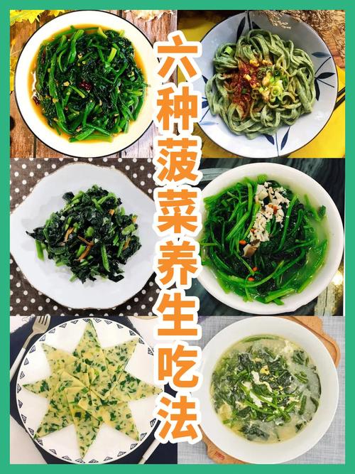 菠菜怎么吃营养美味（菠菜怎么吃更有营养）