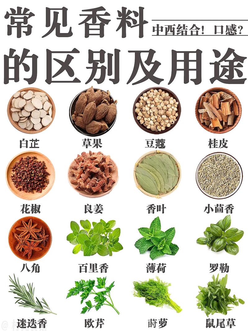 香草植物营养价值（香草的药用价值是什么）