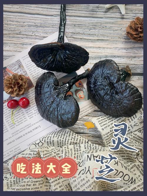 灵芝蒸馏有营养吗（灵芝 蒸）