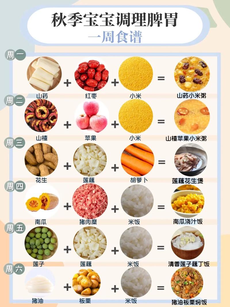 金吉拉营养食谱（金吉拉吃什么）