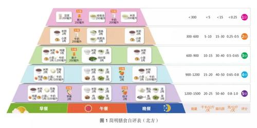 营养一般（营养一般检查的方法是什么）