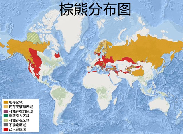 熊那里最有营养（熊在哪个地方）