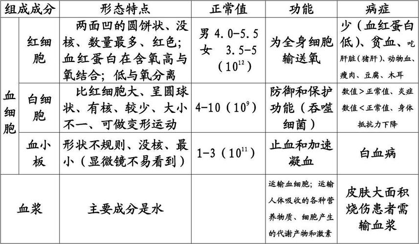 血液里有什么营养（血液里有什么营养元素）