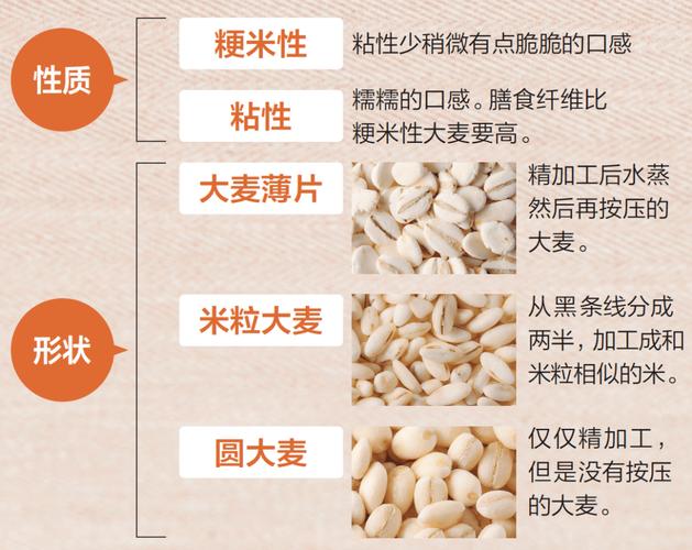 大麦的营养作用ppt（大麦的功能是什么）