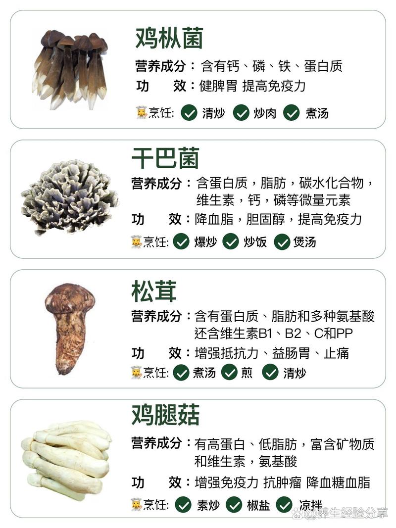 蘑菇的硒营养价（蘑菇硒优缺点）