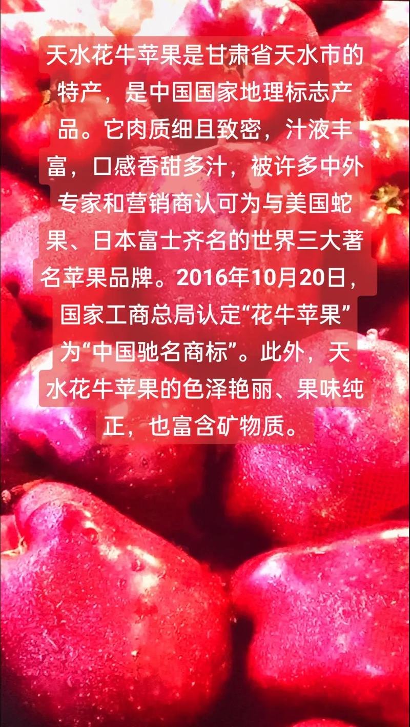 甘肃苹果营养价值说明（甘肃苹果的功效与作用）