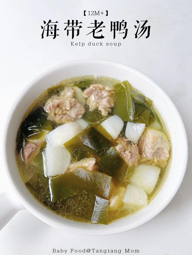 菜鸭怎么炖好吃又营养（菜鸭怎么炖汤）